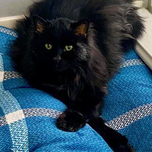 Meet your Posher, Jaime